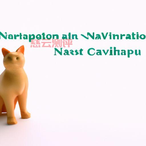 navicat数据库查询语句（navicat在数据库里查询数据）