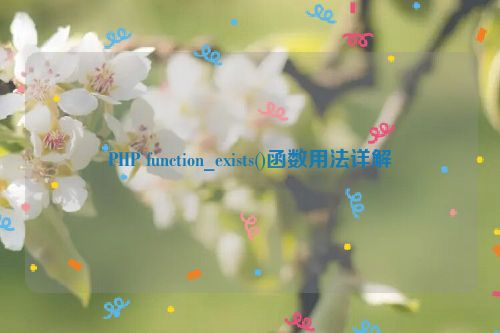 PHP function_exists()函数用法详解