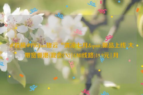 #投稿#PIGYun猪云“清凉七月"新品上线 大带宽香港(混合CN2|CMI线路)19.9元|月