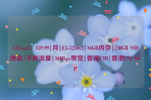 LiCloud：$39.99|月|E3-1230v2|16GB内存|240GB SSD硬盘|不限流量|30Mbps带宽|香港CMI|香港CN2 BGP