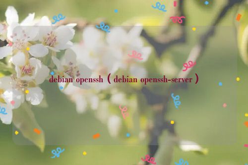 debian openssh（debian openssh-server）