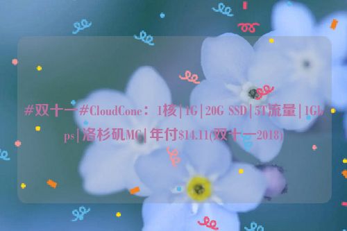 #双十一#CloudCone：1核|1G|20G SSD|5T流量|1Gbps|洛杉矶MC|年付$14.11(双十一2018)