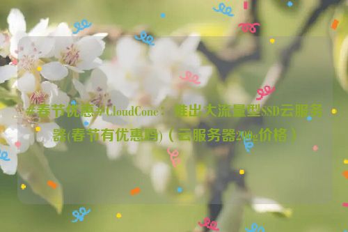 #春节优惠#CloudCone：推出大流量型SSD云服务器(春节有优惠吗)（云服务器200g价格）