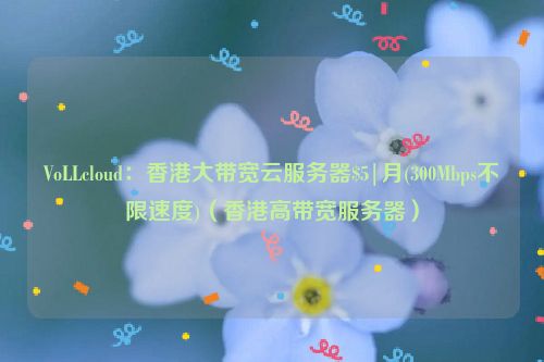 VoLLcloud：香港大带宽云服务器$5|月(300Mbps不限速度)（香港高带宽服务器）