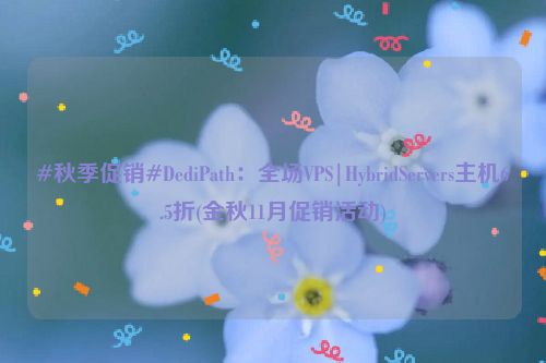 #秋季促销#DediPath：全场VPS|HybridServers主机6.5折(金秋11月促销活动)