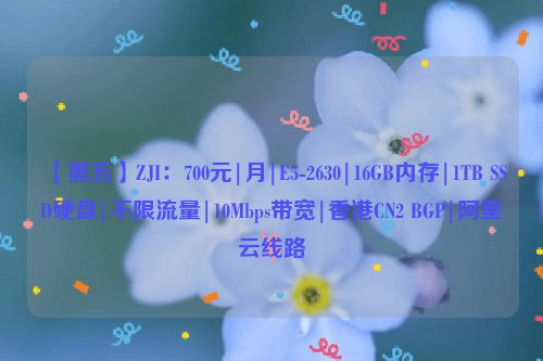 【黑五】ZJI：700元|月|E5-2630|16GB内存|1TB SSD硬盘|不限流量|10Mbps带宽|香港CN2 BGP|阿里云线路
