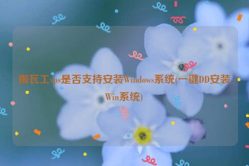搬瓦工vps是否支持安装Windows系统(一键DD安装Win系统)