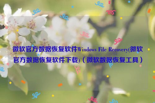 微软官方数据恢复软件Windows File Recovery(微软官方数据恢复软件下载)（微软数据恢复工具）