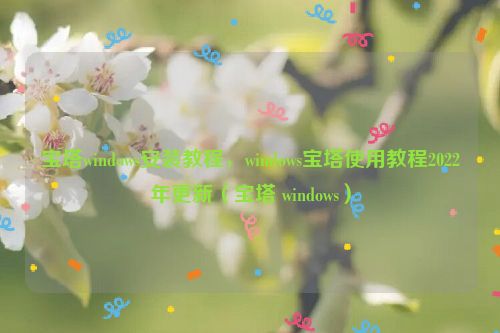 宝塔windows安装教程，windows宝塔使用教程2022年更新（宝塔 windows）