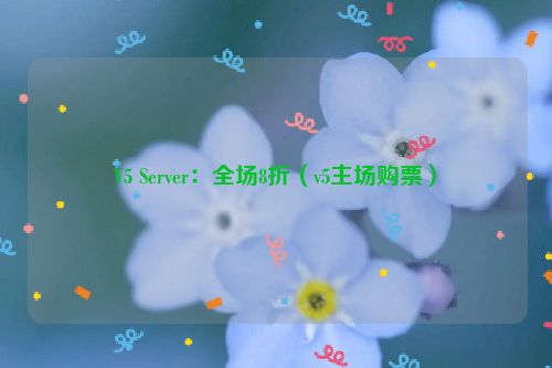 V5 Server：全场8折（v5主场购票）