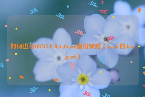 如何进行ORACLE DataGuard备份策略（oracle的dataguard）