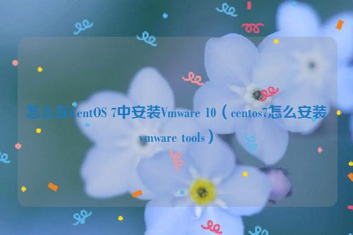 怎么在CentOS 7中安装Vmware 10（centos7怎么安装vmware tools）