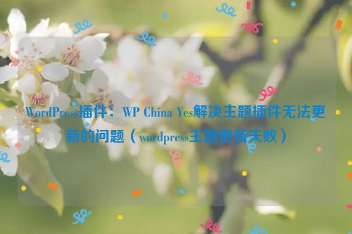 WordPress插件：WP China Yes解决主题插件无法更新的问题（wordpress主题更新失败）