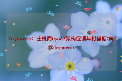 Tragicservers：主机商OpenVZ架构促销年付最低7美元(tragic end)