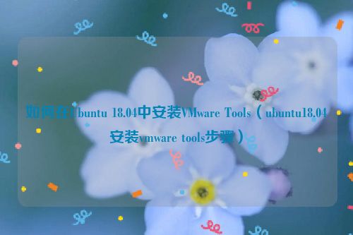 如何在Ubuntu 18.04中安装VMware Tools（ubuntu18.04安装vmware tools步骤）