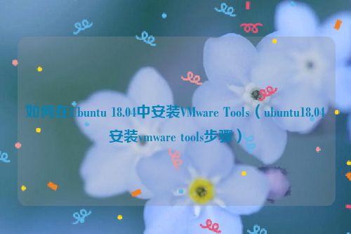 如何在Ubuntu 18.04中安装VMware Tools(ubuntu18.04安装vmware tools步骤)