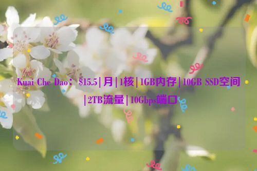 Kuai Che Dao：$15.5|月|1核|1GB内存|10GB SSD空间|2TB流量|10Gbps端口
