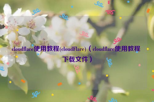 cloudflare使用教程(cloudFlare)（cloudflare使用教程 下载文件）