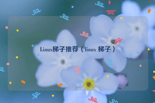 Linux梯子推荐（linux 梯子）