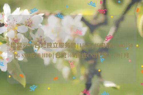 博鳌云：台湾独立服务器|L5630|8G内存|240G|500G SSD或1T HDD|台湾10M直连CN2线路￥799|月