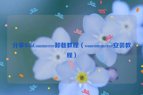 分享WooCommerce卸载教程（woocommerce安装教程）