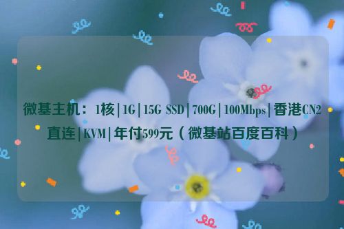 微基主机：1核|1G|15G SSD|700G|100Mbps|香港CN2直连|KVM|年付599元（微基站百度百科）