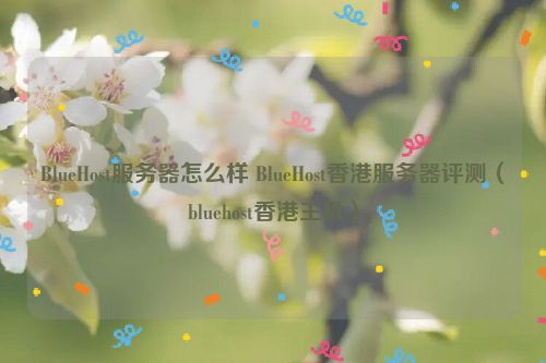 BlueHost服务器怎么样 BlueHost香港服务器评测（bluehost香港主机）