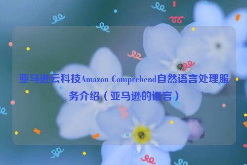 亚马逊云科技Amazon Comprehend自然语言处理服务介绍（亚马逊的语言）