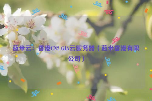 蓝米云：香港CN2 GIA云服务器（蓝米香港有限公司）