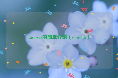 v5server的简单介绍（v5 windy）