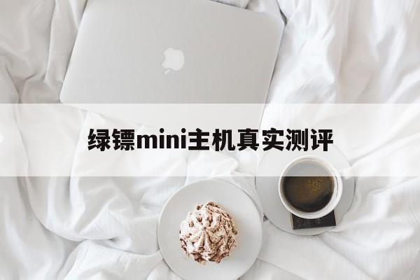 关于绿镖mini主机真实测评的信息